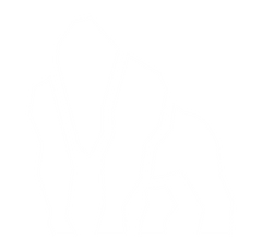 Silverback Stripes