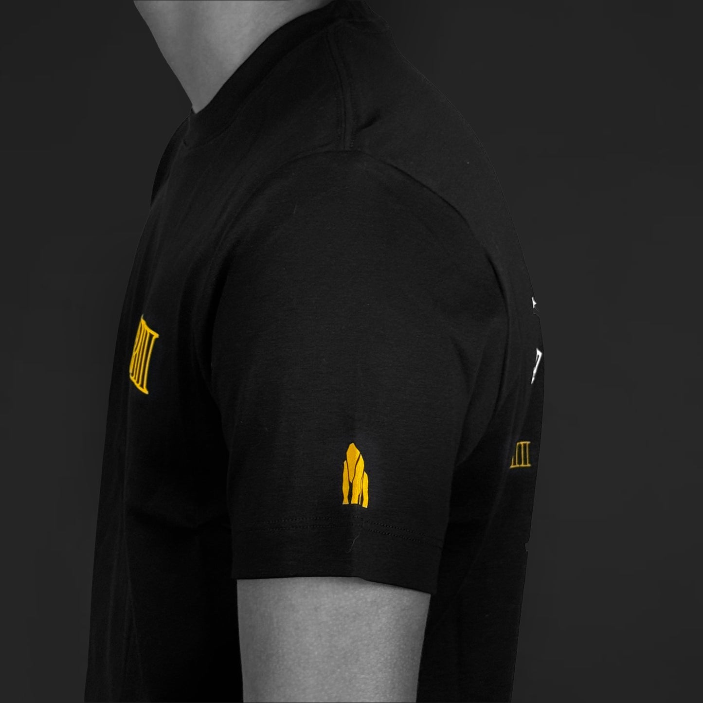 PDIII x Silverback Stripes Short Sleeve T-shirt